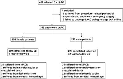 Sex Differences in Efficacy and Safety After Left Atrial Appendage Closure: A 4.3-Year Follow-Up Analysis